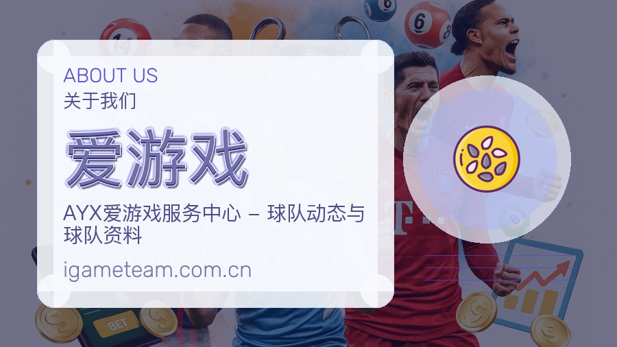 爱游戏服务说明